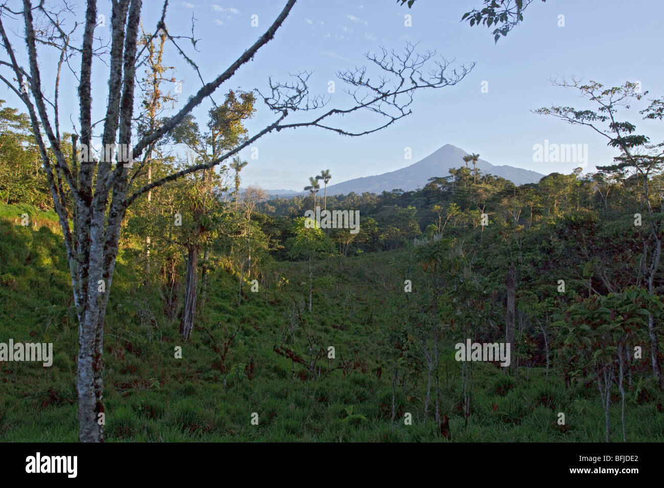 Ein Blick auf den Vulkan Sumaco im Osten Ecuadors. Stockfoto