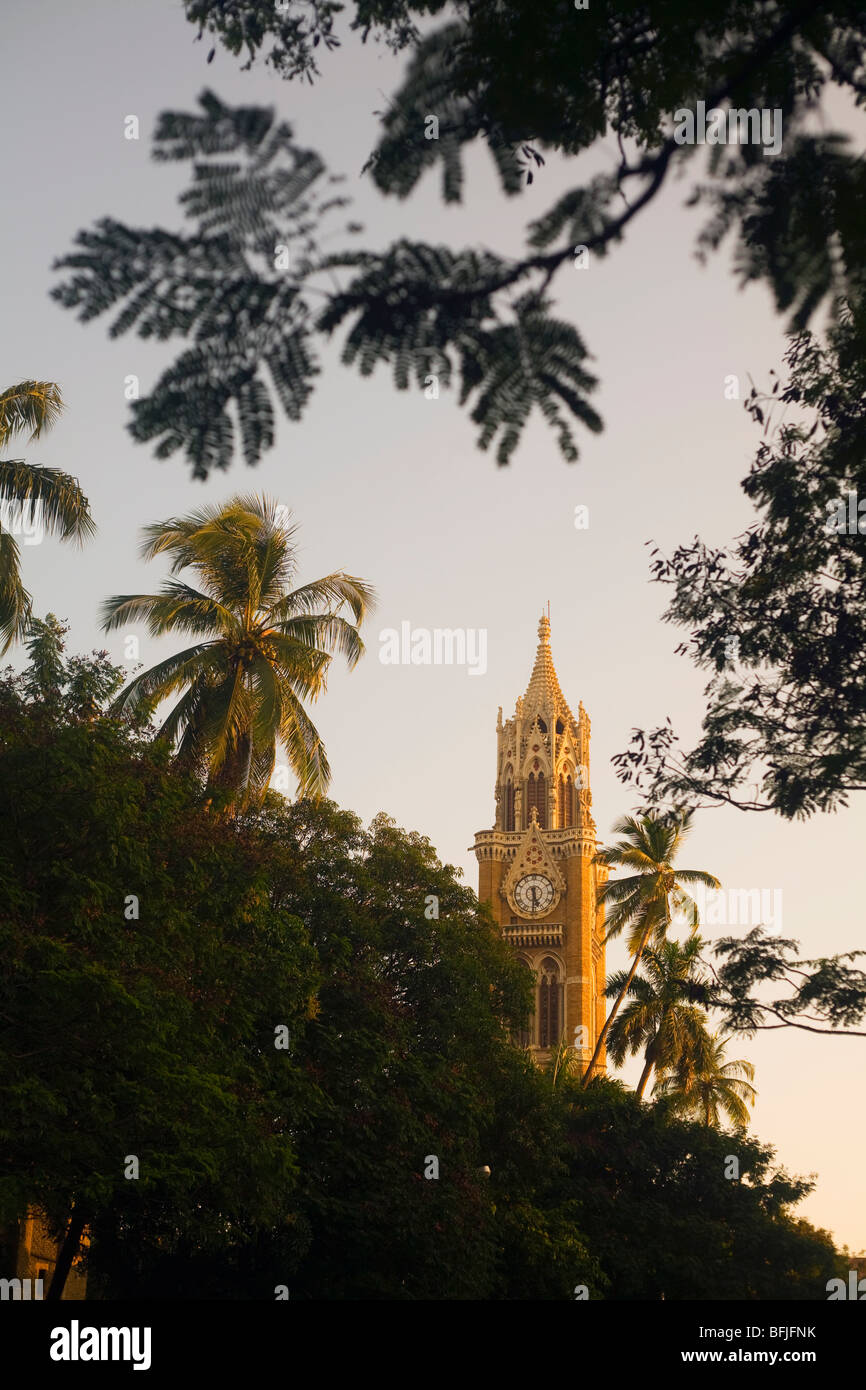 Der Rajabai Clock Tower an der Universität von Mumbai, Indien Stockfoto