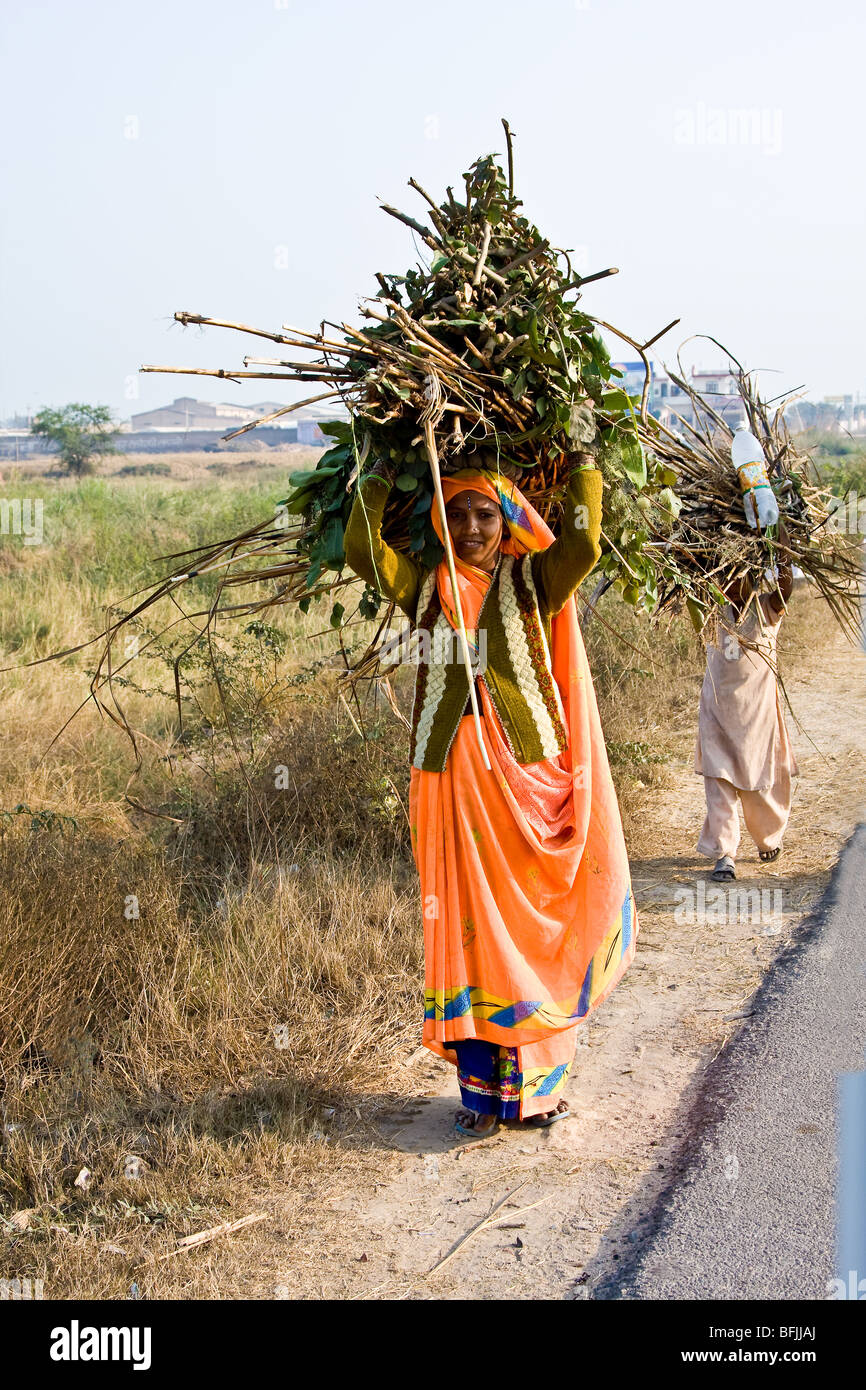 Indische Frauen tragen Brennholz in Uttar Pradesh, Indien. Stockfoto