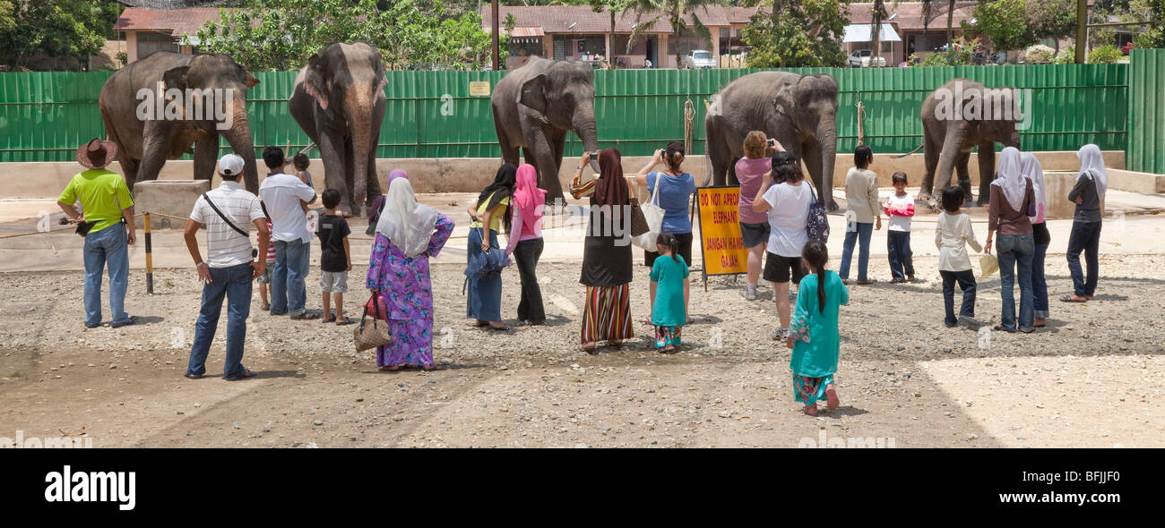 Touristen bei der Kuala Gandah Elephant Sanctuary, Pahang, Malaysia Stockfoto