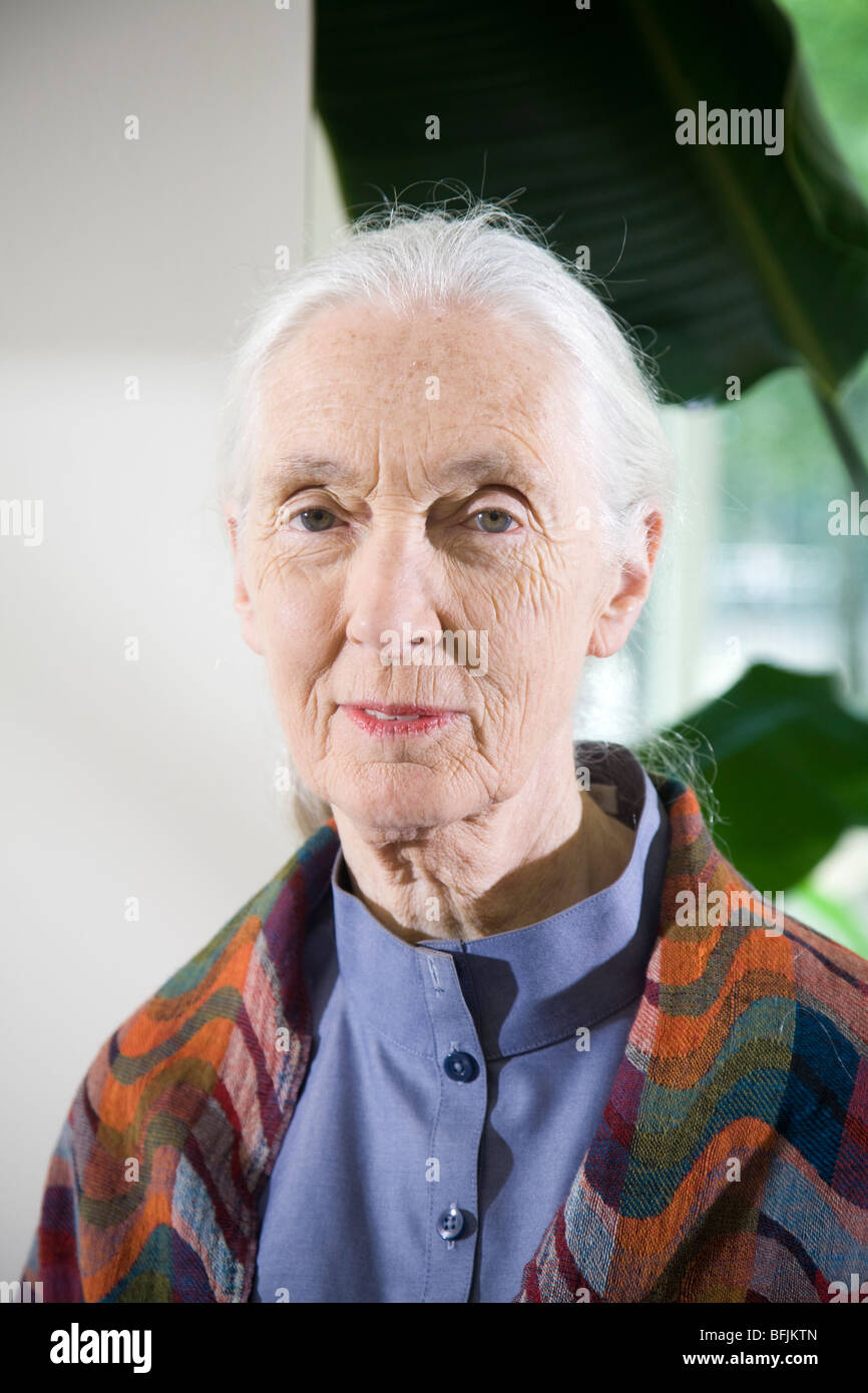 Jane Goodall in der Lobby des Konservatoriums Natur, Arlington Virginia Stockfoto