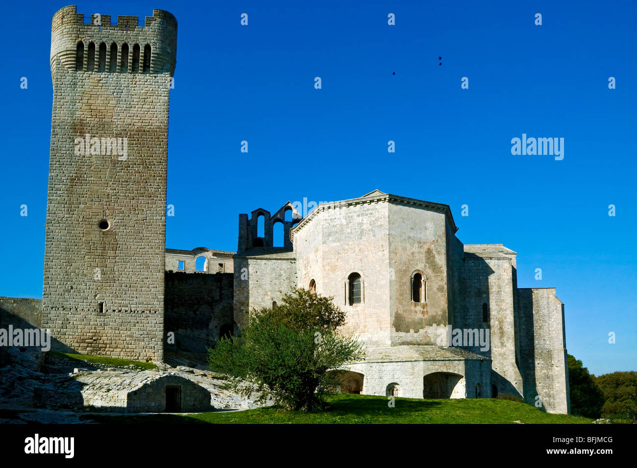 MONTMAJOUR ABTEI, ARLES, PROVENCE, FRANKREICH Stockfoto