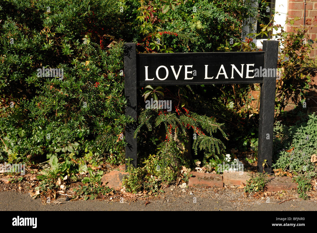Verkehrszeichen für Love Lane Stockfoto