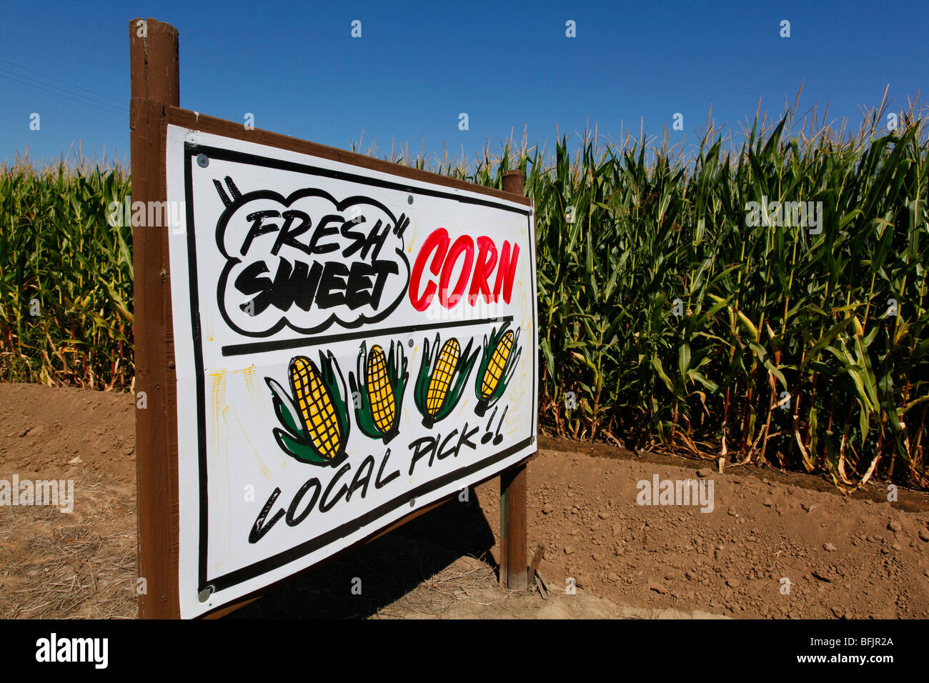 Bewirtschaften Sie Felder zu und vermarkten Sie Zeichen im San Joaquin Valley, Zentral-Kalifornien Stockfoto