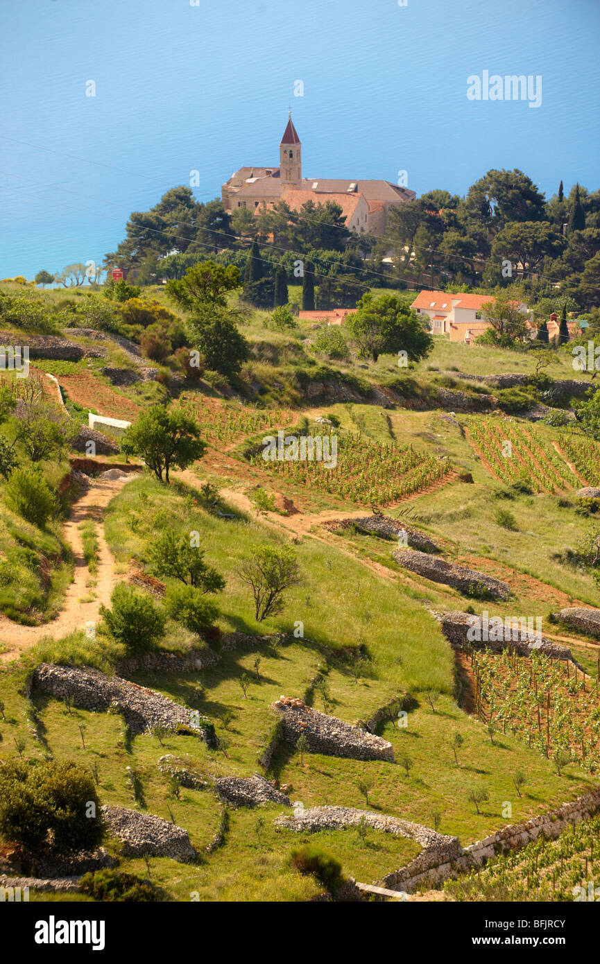Blick auf Bol und seine Weinberge, Insel Brac, Kroatien Stockfoto