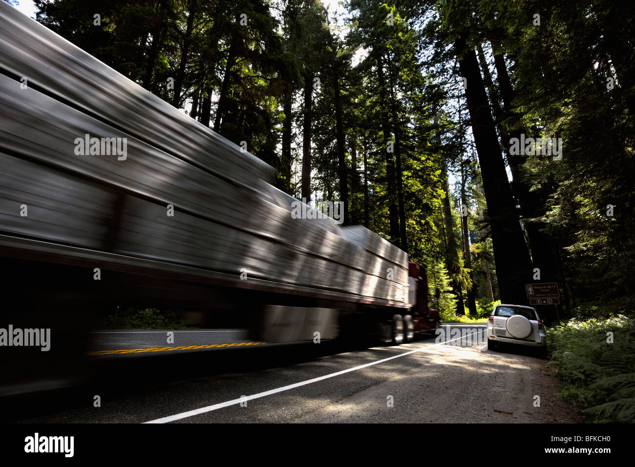 Giant redwood car -Fotos und -Bildmaterial in hoher Auflösung – Alamy