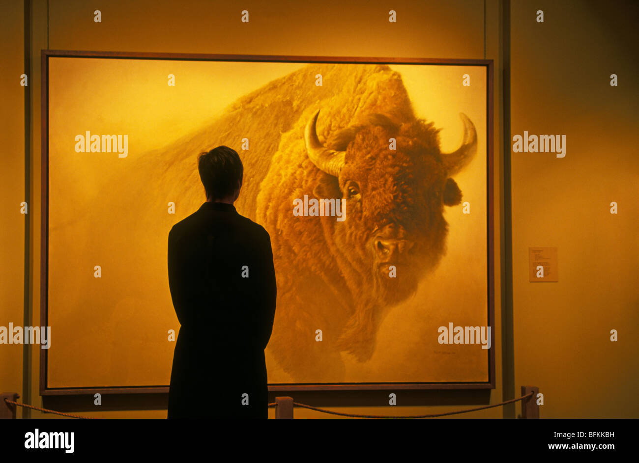 Das Innere des Welt berühmten National Museum of Wildlife Art in Jackson, Wyoming Stockfoto