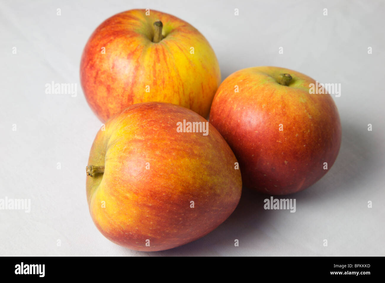 Drei englische Cox Äpfel auf einem weißen Hintergrund Stockfoto
