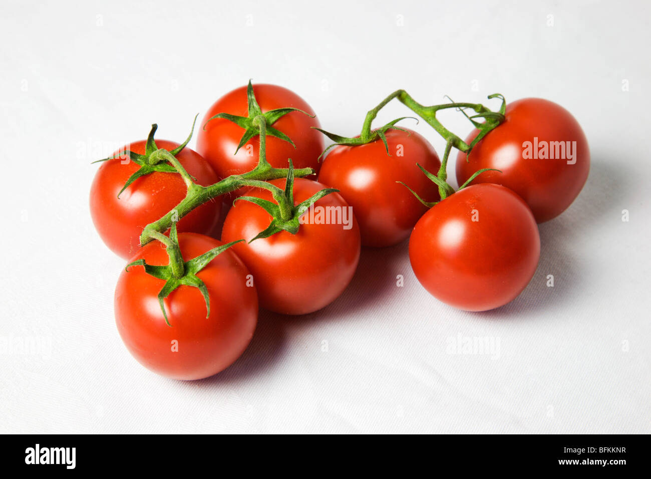 Kleine Rebe reife Tomaten auf weißem Hintergrund Stockfoto