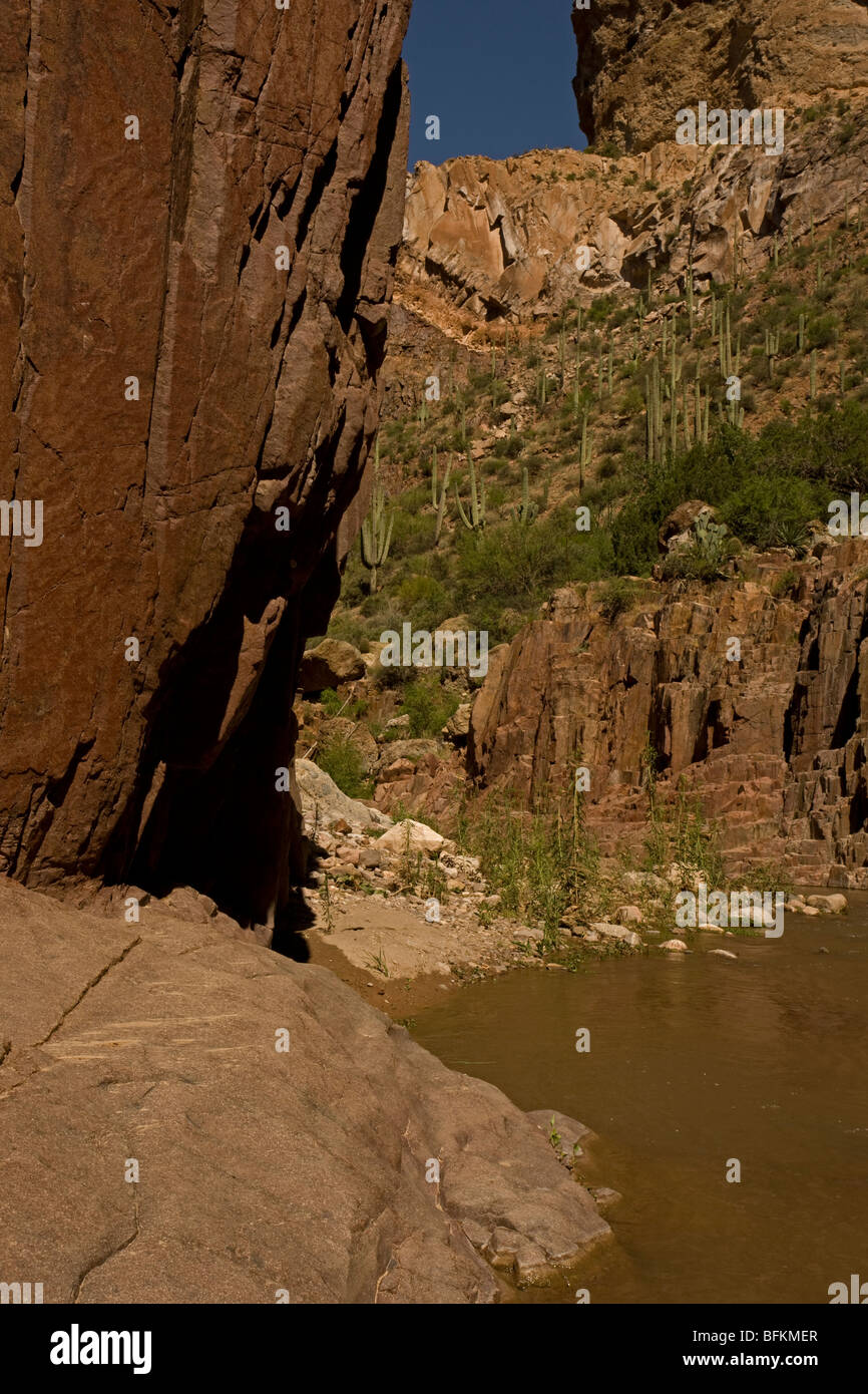 Aravaipa Canyon Wilderness - Klippen und Creek - das Hotel liegt etwa 50 Meilen nordöstlich von Tucson Arizona - USA Stockfoto