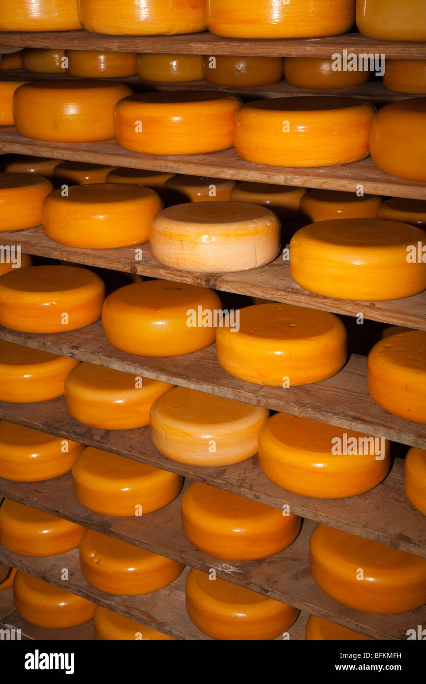 Regalen der Käse runden auf dem Display Zuiderzeemuseum Enkhuizen Niederlande Stockfoto