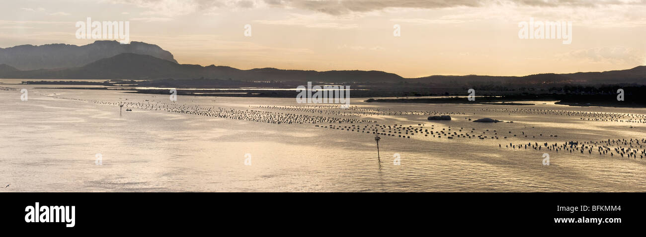 Olbia-Panorama Stockfoto