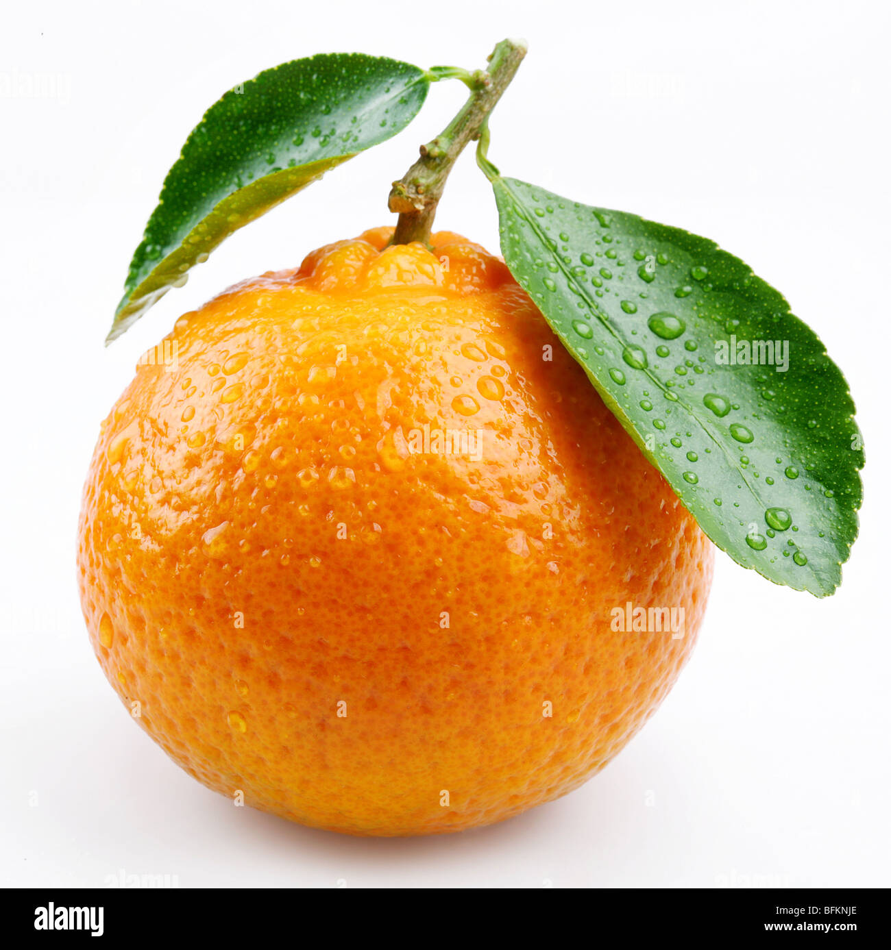 Mandarine mit Blättern auf weißem Hintergrund Stockfoto