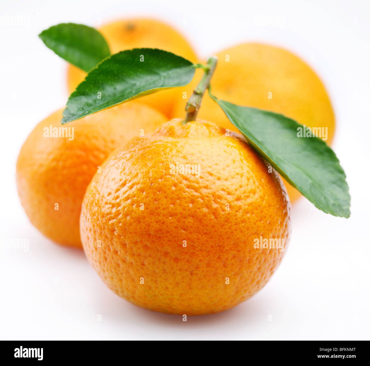 Mandarinen mit Blättern auf weißem Hintergrund Stockfoto