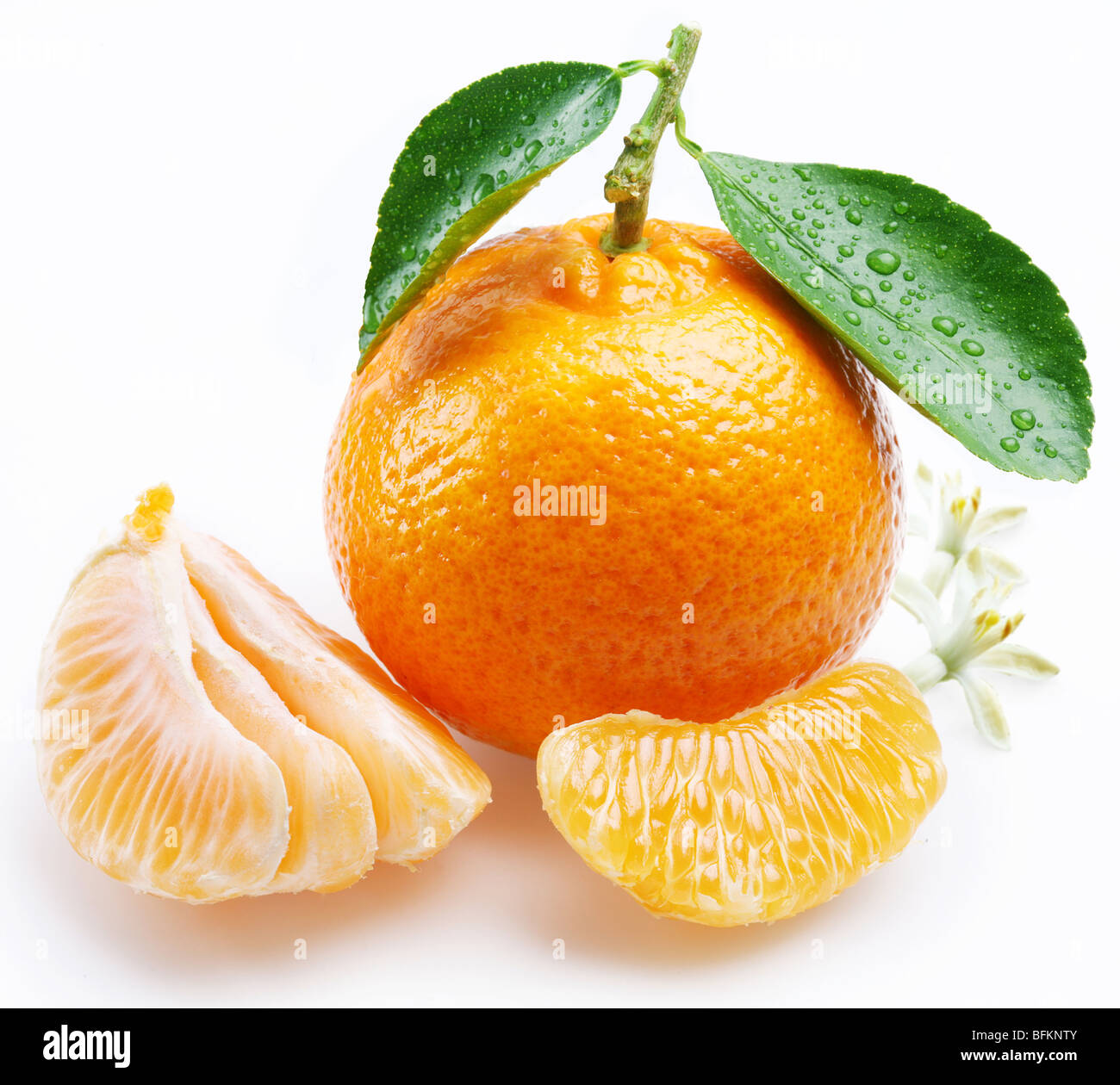 Mandarine mit Segmenten auf weißem Hintergrund Stockfoto