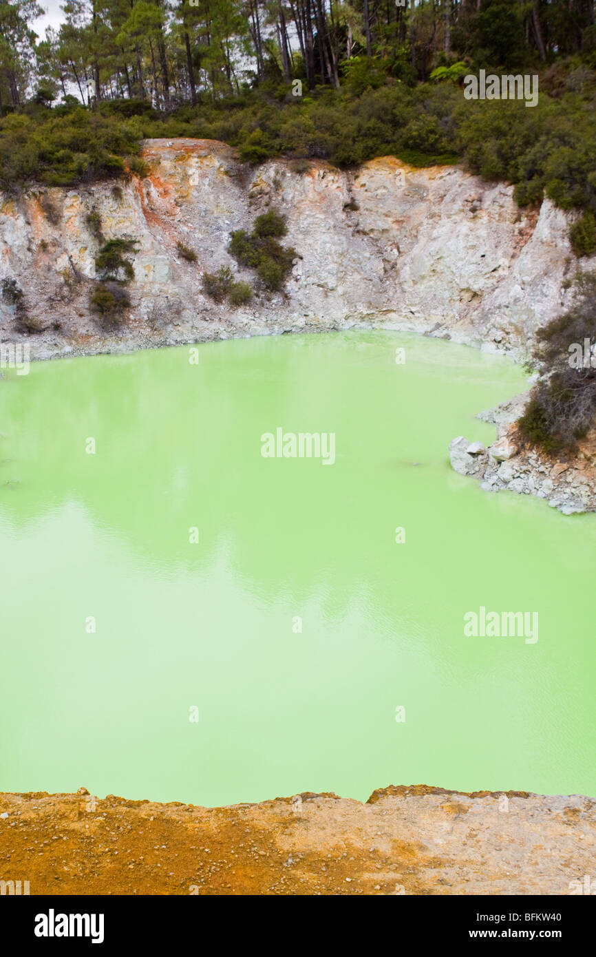 Die Devils Bad grünen Pool im Wai-o-Tapu Rotorua Stockfoto