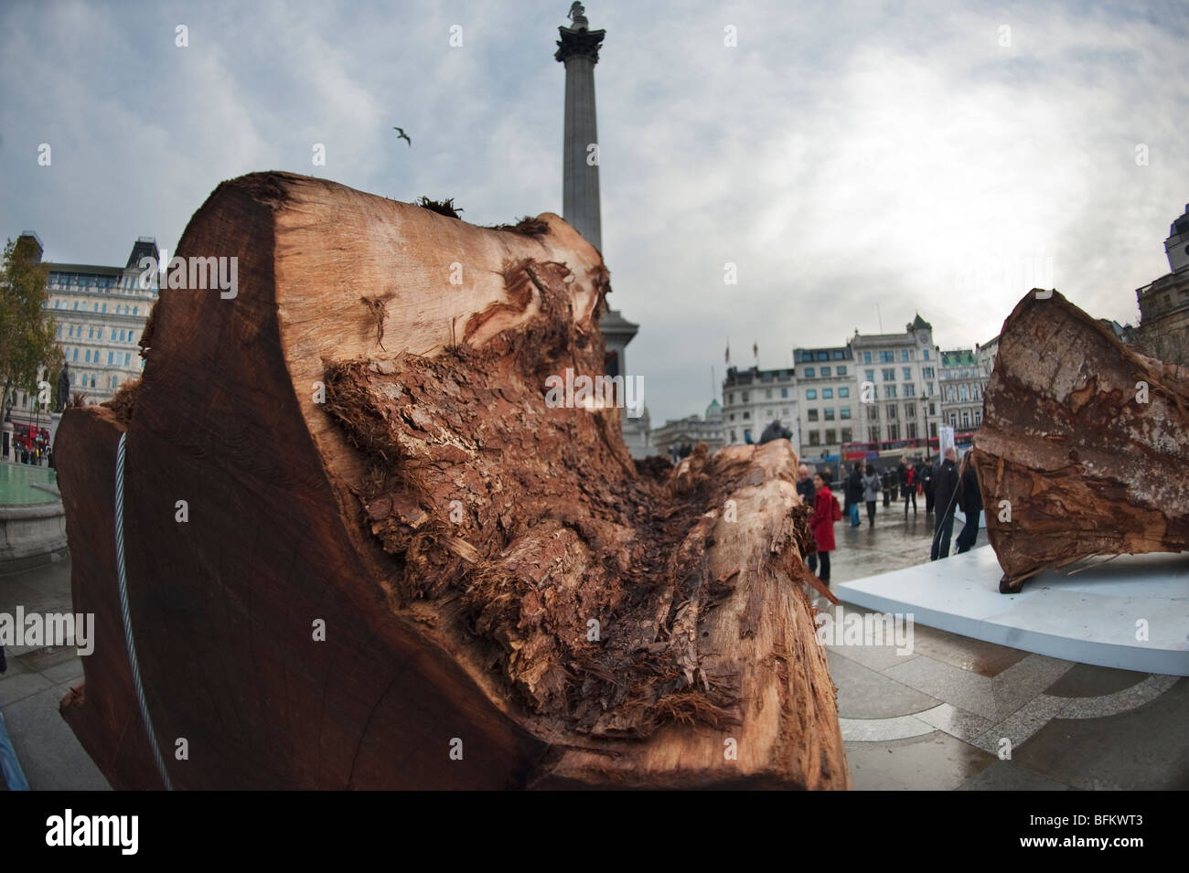 Geisterwald Ausstellung am Trafalgar Square in London Stockfoto