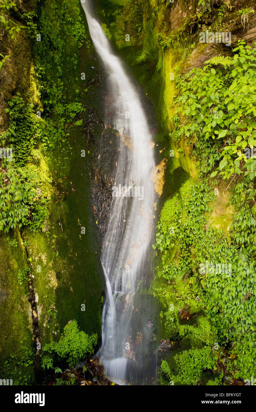 Kleiner Wasserfall unter Pele la Pass, ca. 9000 Fuß, BHUTAN Stockfoto