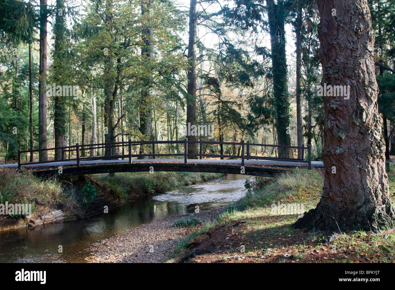 schwache Brücke 7,5-Tonnen Gewicht Grenze Herbst in der neuen Gesamtstruktur Hampshire England uk gb Stockfoto