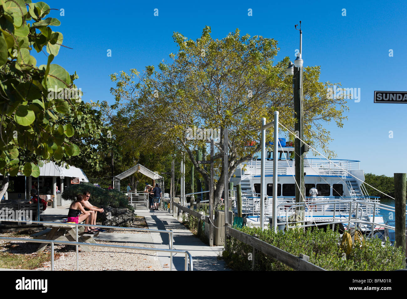 Glasboden-Boot in der Marina an der John Pennekamp Coral Reef State Park, Key Largo, Florida Keys, USA Stockfoto