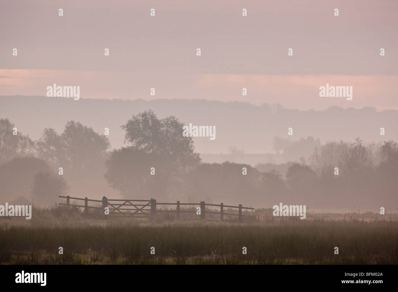 Nebligen Morgen auf den Somerset Levels, Middlezoy. Stockfoto