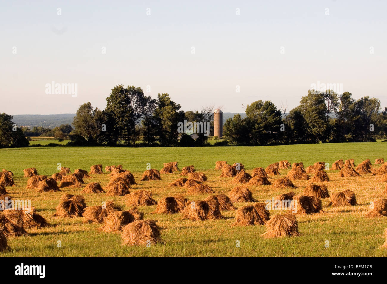 Heuernte auf einem amischen Bauernhof im oberen Staat New York Stockfoto
