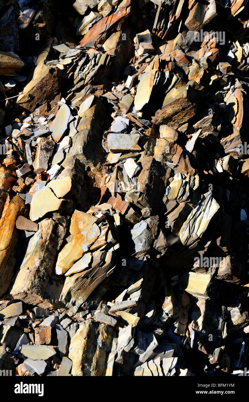 Organischen reiche Schiefer Felsen, Oklahoma, USA. Stockfoto