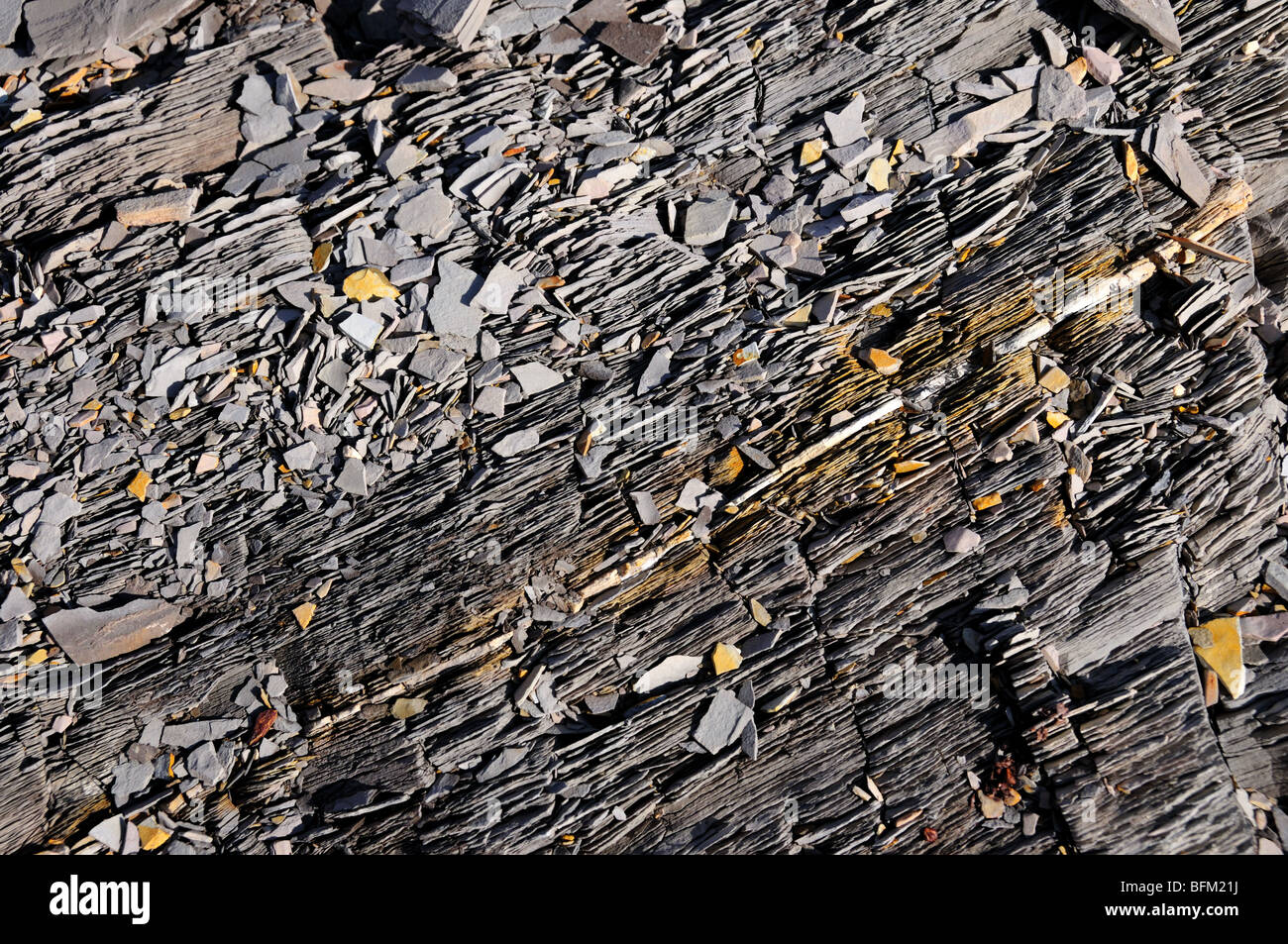 Organischen reiche Schiefer Felsen, Oklahoma, USA. Stockfoto