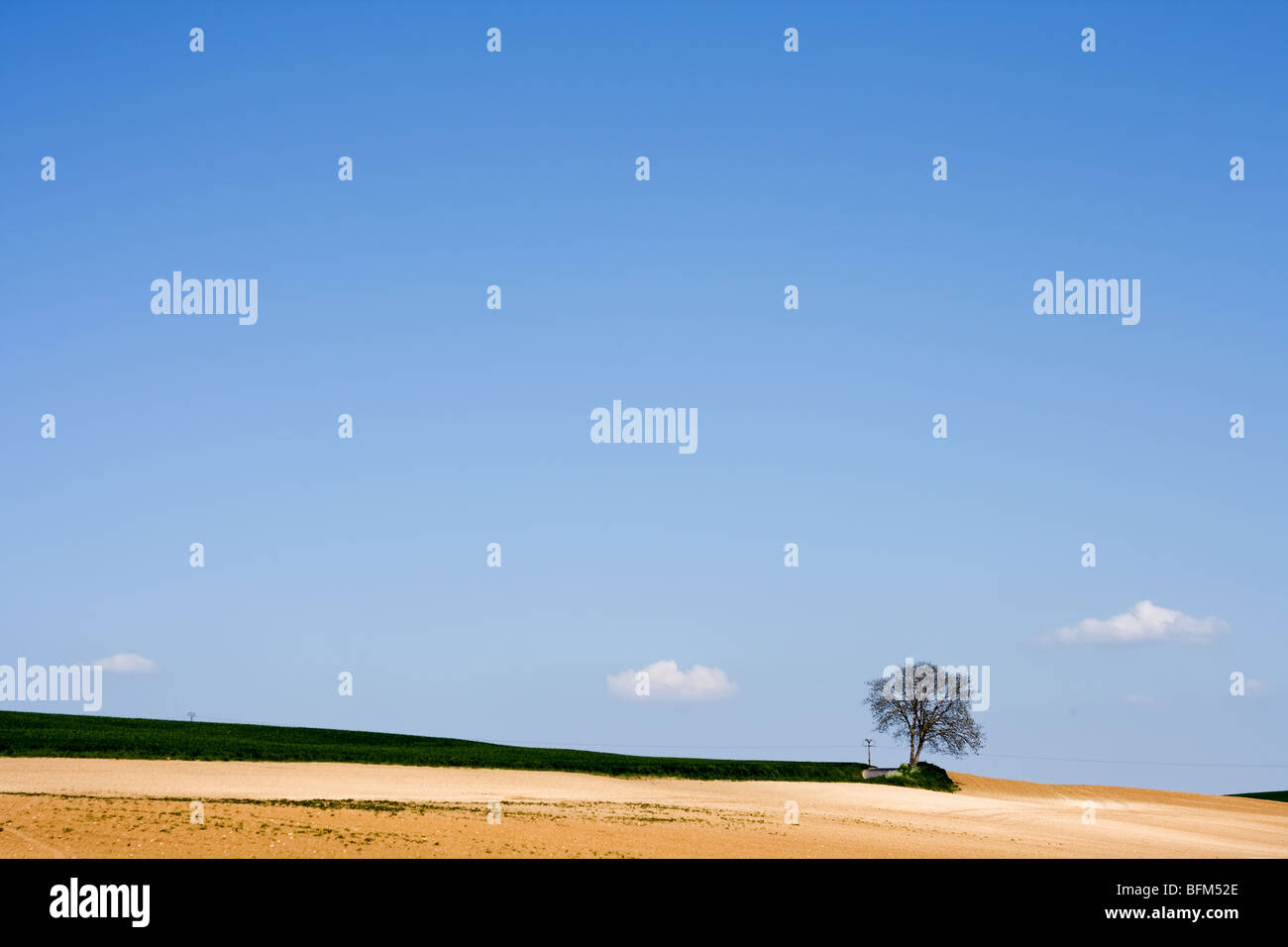 Leere Landschaft mit einem einsamen Baum am Horizont. Orientierung-Landschaft Stockfoto