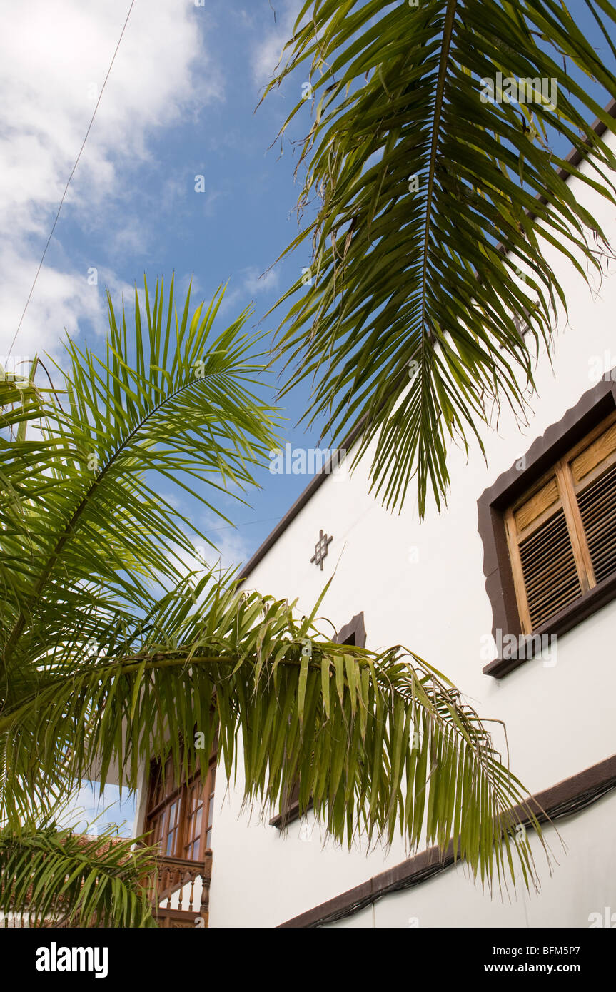 Palm Tree Branch Fensterläden Holzfenster an einem Gebäude in Spanien Stockfoto