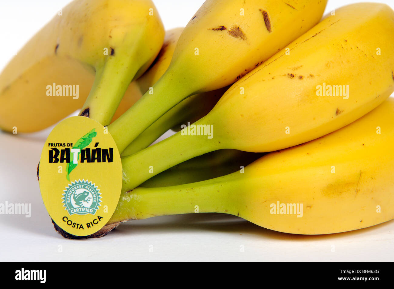 Bananen aus Costa Rica Frucht der Bataan-label Stockfoto