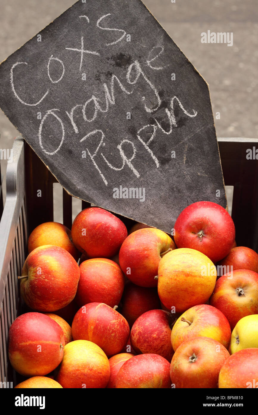 Coxs Orange Pippin rote reife Äpfel zum Verkauf an der Borough Market Southwark London England Stockfoto