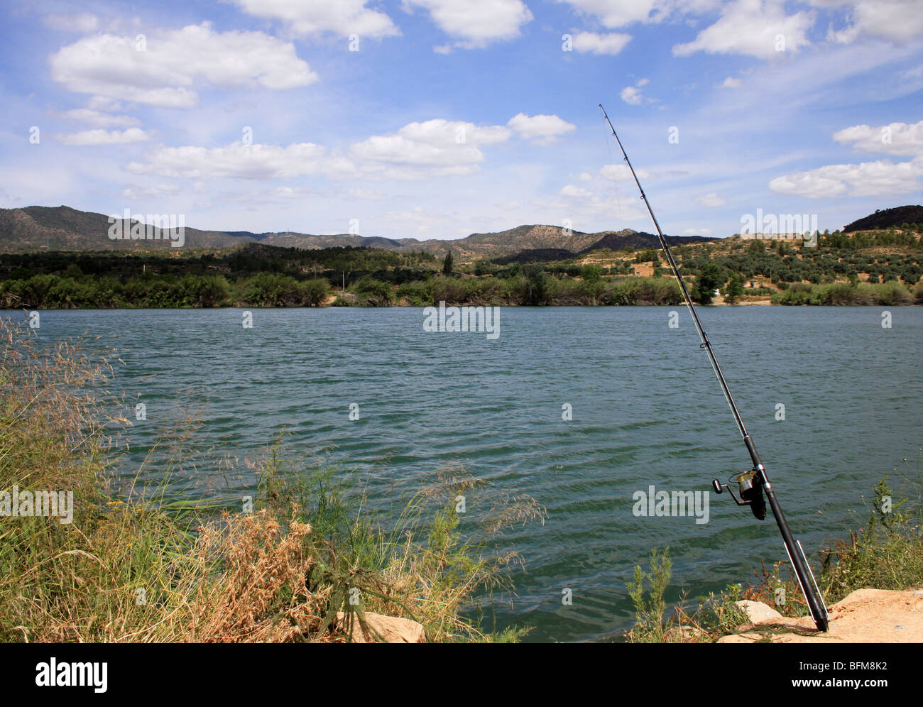 Fluss Ebro Angeln Wels Spanien Stockfoto