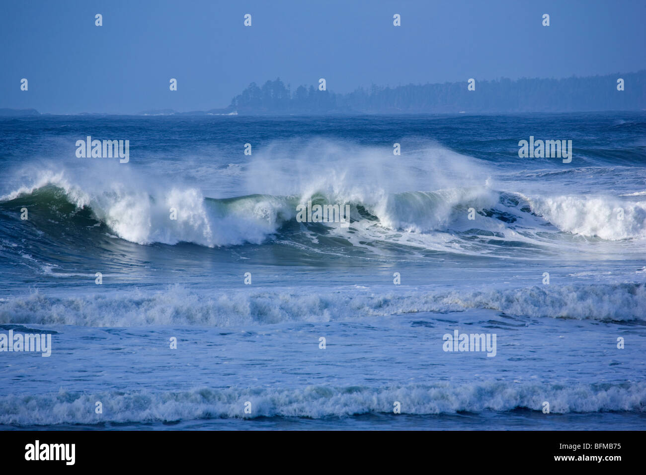 Tofino BC Kanada Pacific Rim Nat Park Stockfoto