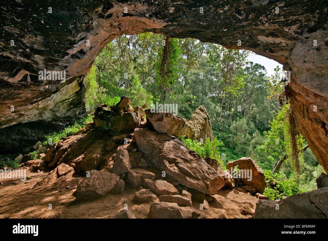 Kenia. Der Eingang zum Kitum Cave an den Hängen des Mount Elgon. Elefanten kommen manchmal für Salz in der Nacht zu graben. Stockfoto