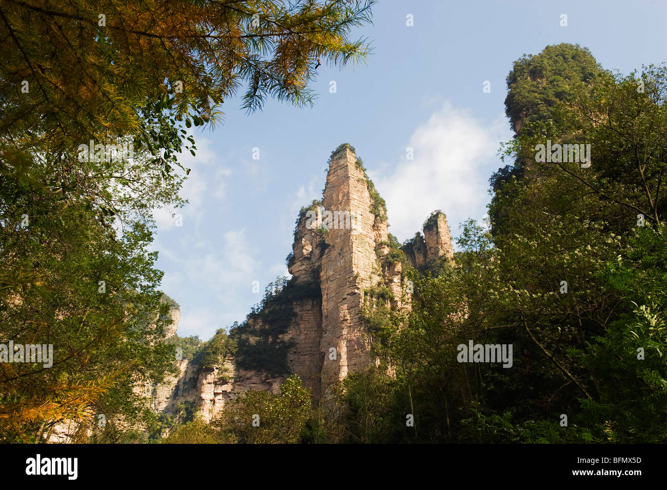 China, Provinz Hunan, Kalksteinfelsen, Waldpark Zhangjiajie, Wulingyuan Scenic Area, Unesco Weltkulturerbe Stockfoto