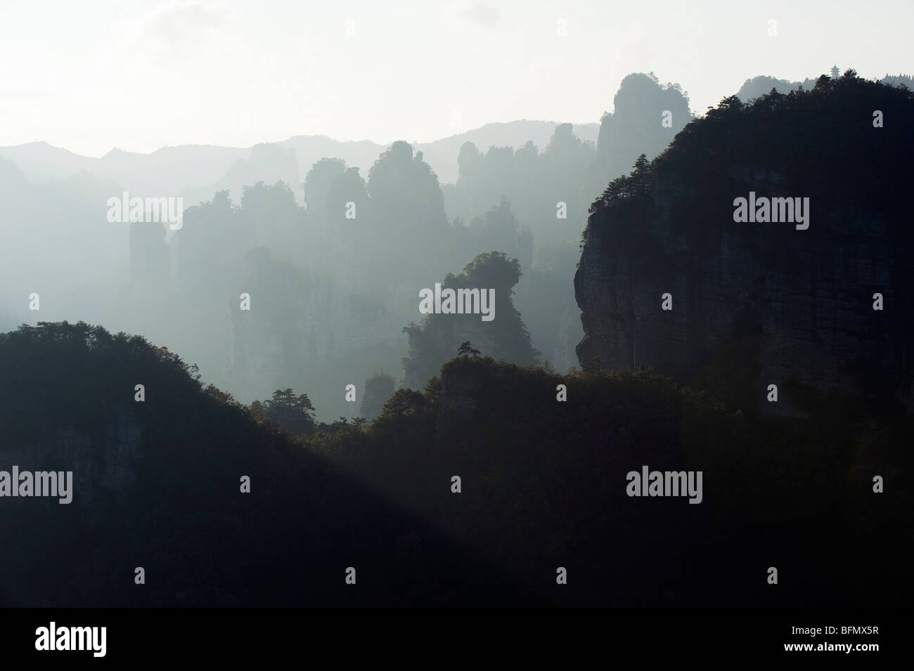 Wulingyuan Scenic Area, Unesco Weltkulturerbe, Waldpark Zhangjiajie, Provinz Hunan, China Stockfoto