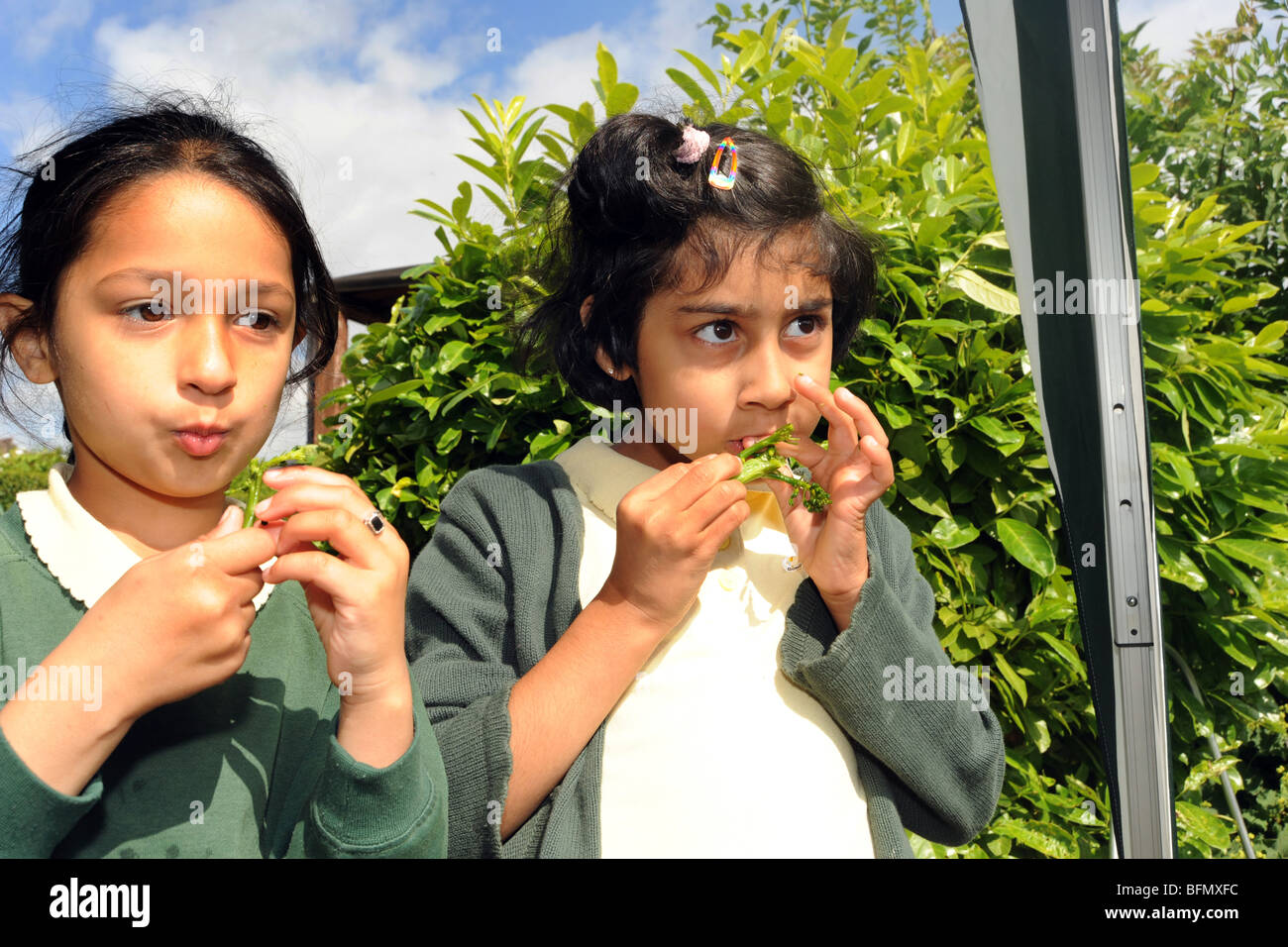 Kinder probieren Brokkoli während eines Besuchs in Kleingärten aus lokalen Schulen, Bradford Stockfoto
