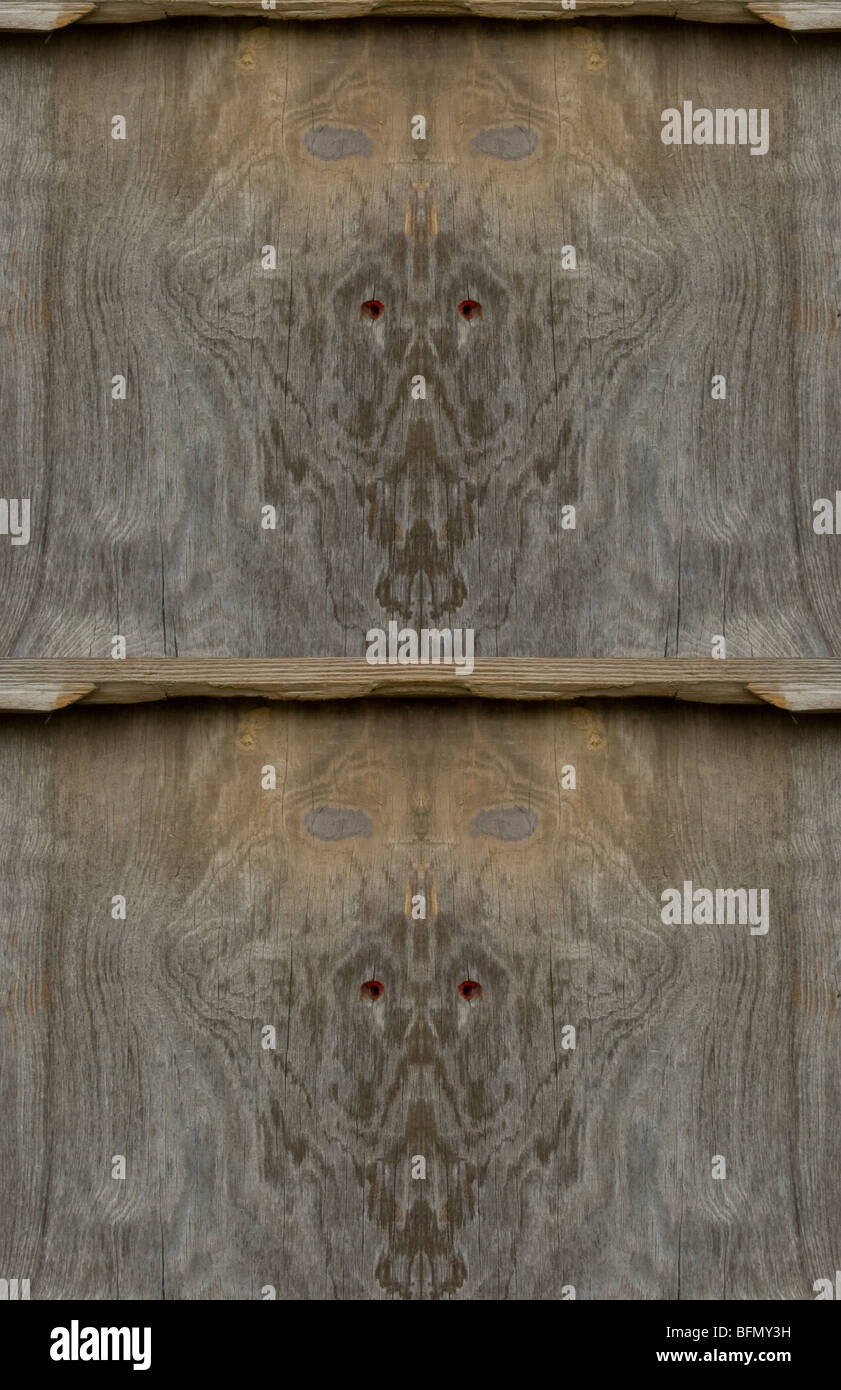 Lächelnde Gesichter sind sehr lebendig in dieses Bild der natürlichen Muster gefunden auf der Seite einem alten Schuppen. Stockfoto