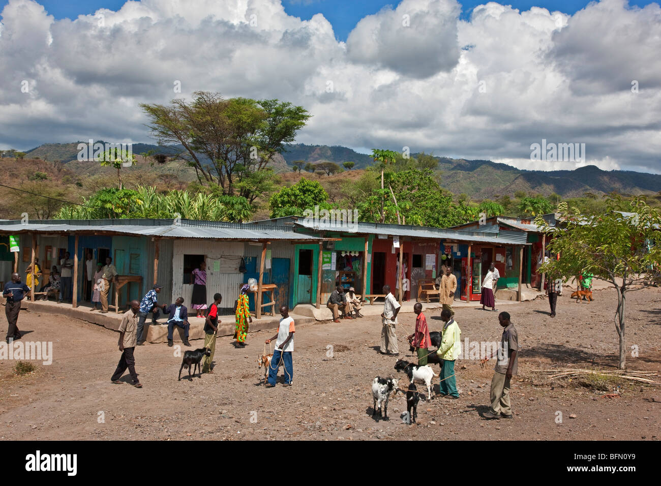 Kenia, Baringo District. Eine Ziege Markt das Handelszentrum von Koriema in einem semi-ariden Region Kenyas Provinz Rift Valley. Stockfoto