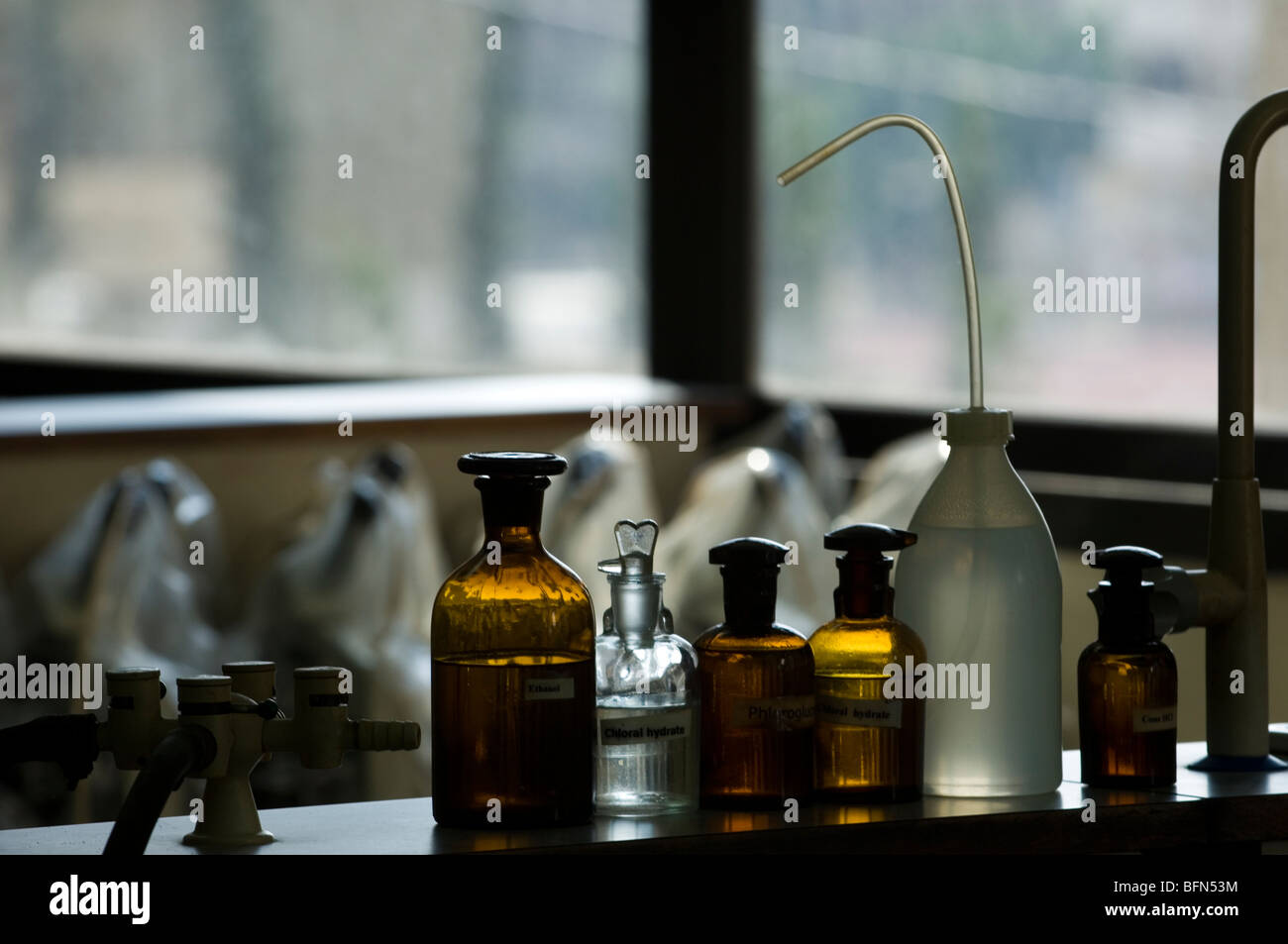Medizinische Flaschen in einem Labor Beirut Libanon Middle East Asia Stockfoto