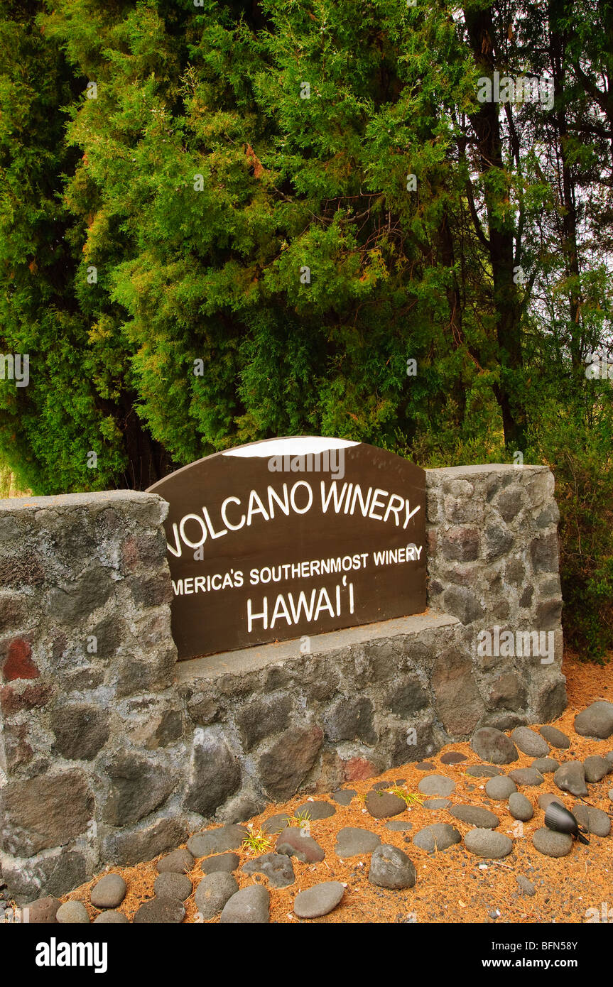 Volcano Winery, Big Island Hawaii. Stockfoto