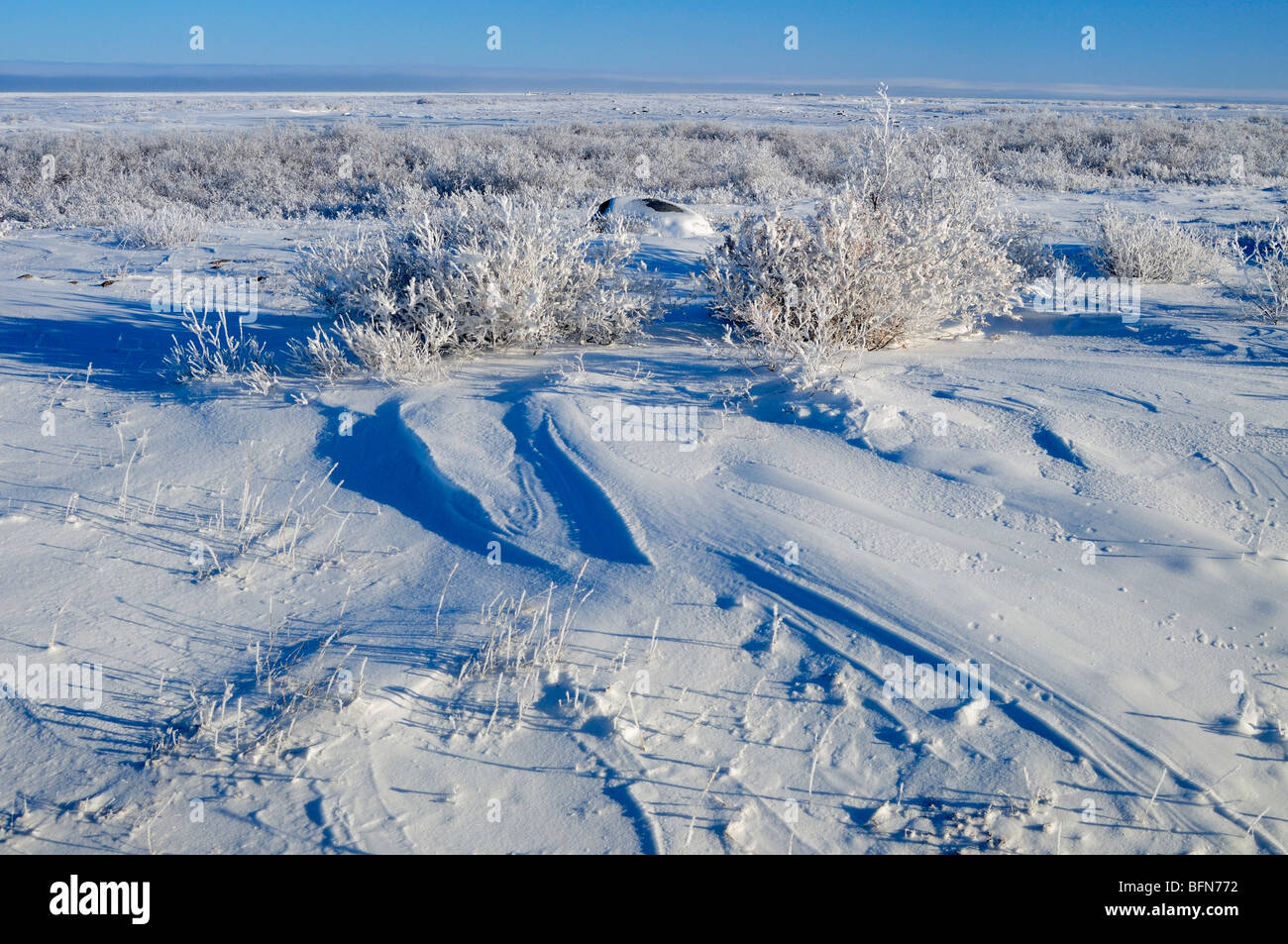 Küste der Hudson Bay im frühen Winter, Churchill, Manitoba, Kanada Stockfoto