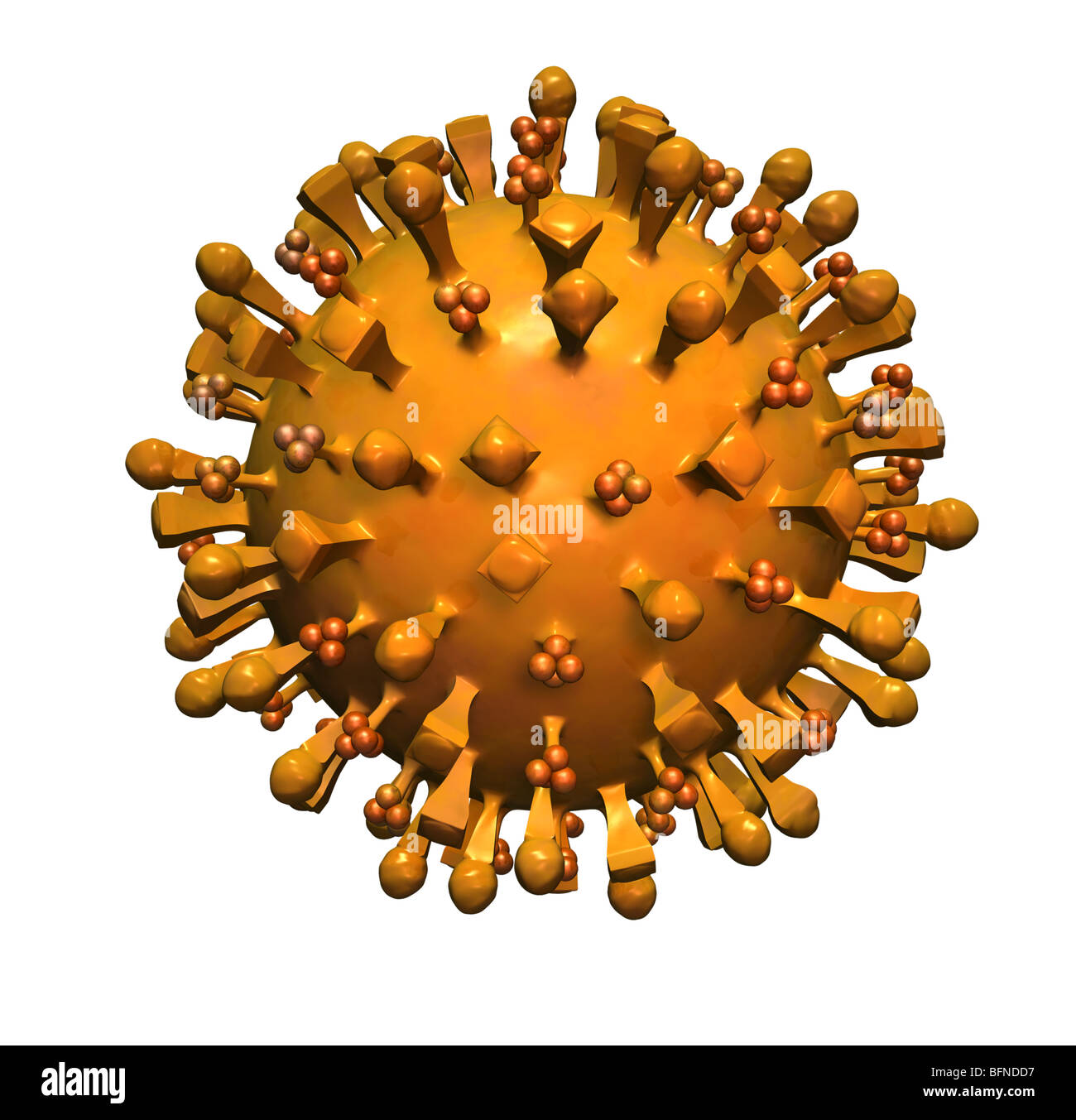 Computergenerierte dreidimensionalen Modells der H5N1-Vogelgrippe-Virus. Stockfoto