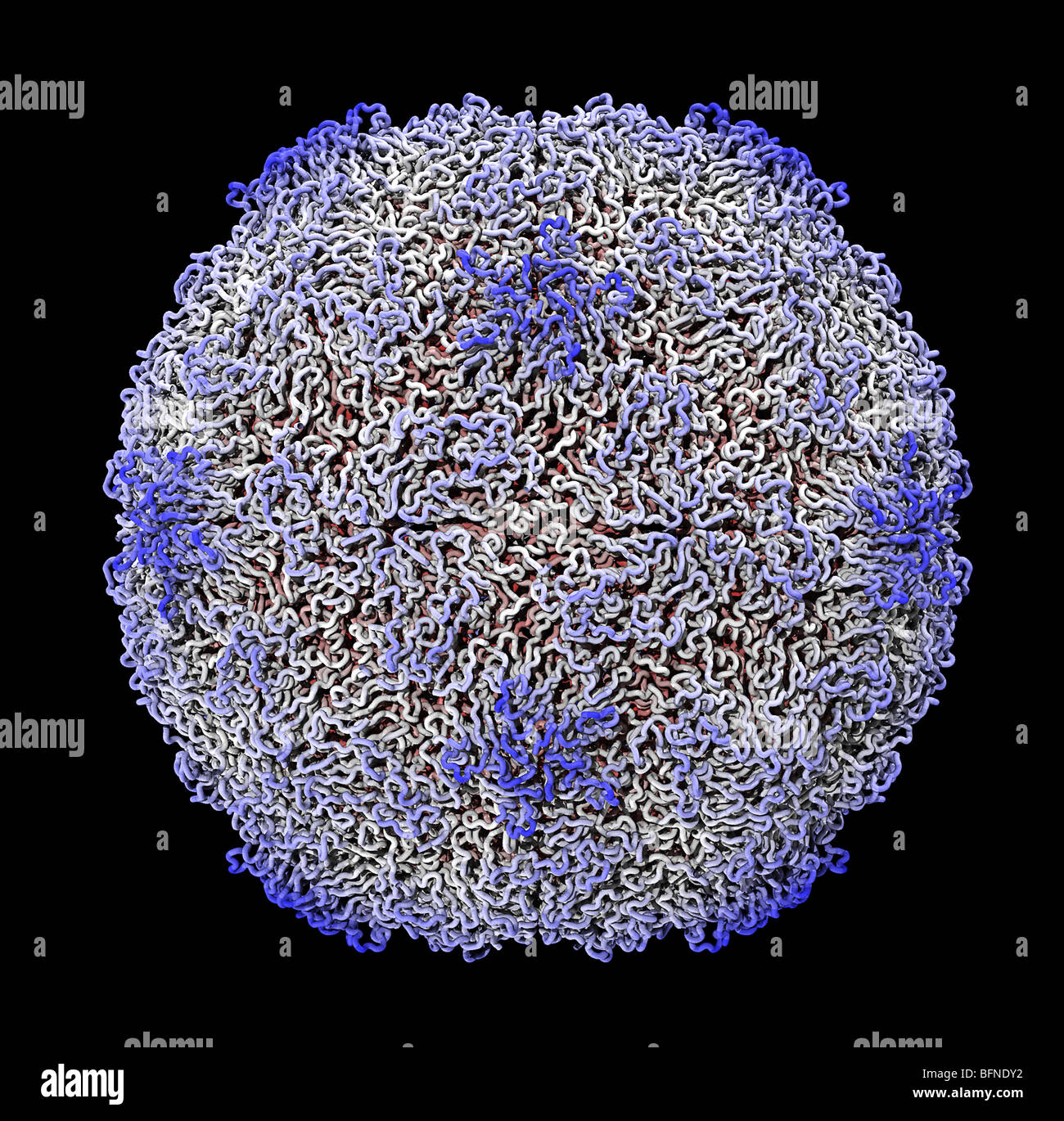 Menschlichen Rhinovirus Kapsid Struktur. Drei dimensionale Computer generierte Modell auf der Grundlage der experimentell ermittelten Daten Stockfoto