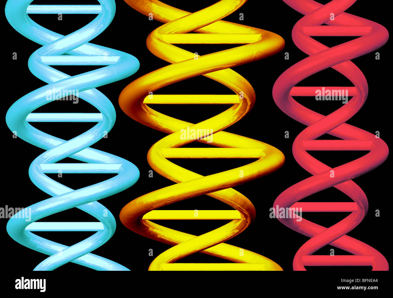computergenerierte drei dimensionale Modell der DNA-Doppelhelix Stockfoto
