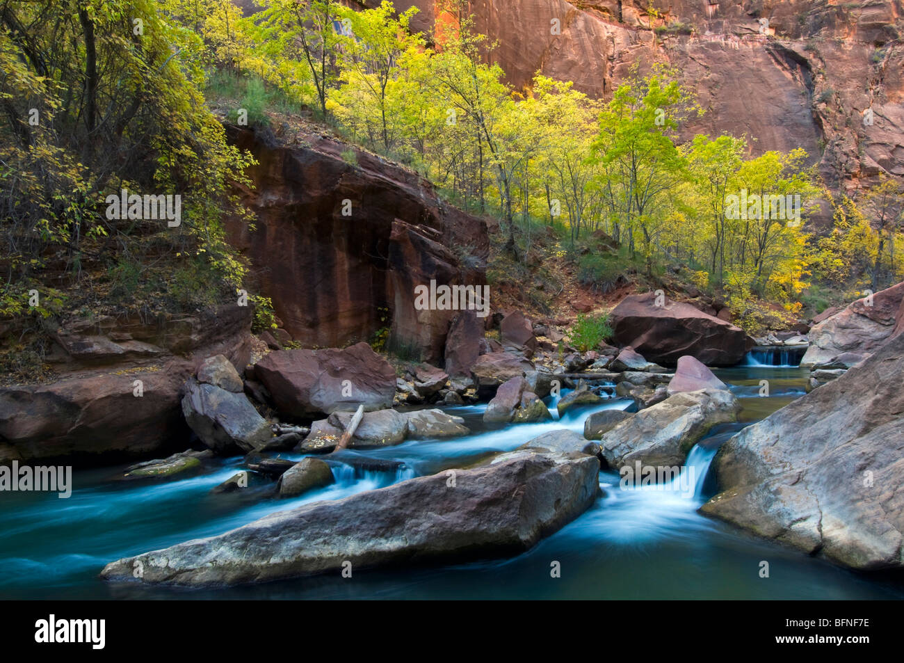 Zion Nationalpark Virgin River Utah Stockfoto