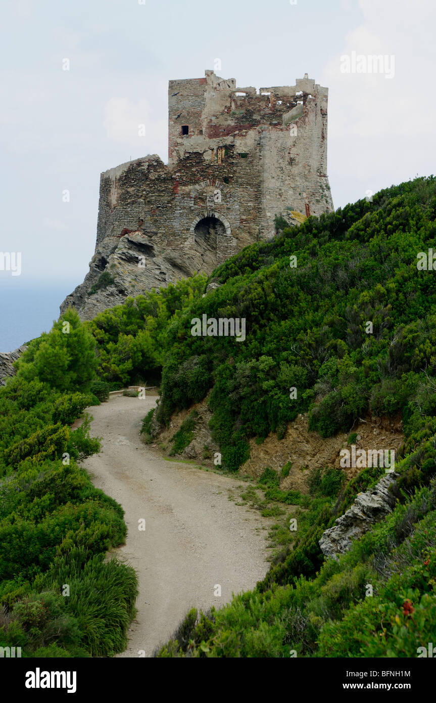 Rocca Vecchia Torre Vecchia, Gorgona Insel, toskanischen Archipels, Italien Stockfoto