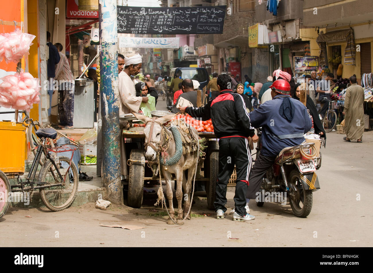 Verkäufer verkauft Tomaten aus Eselskarren in den Souk in Luxor Ägypten. Stockfoto