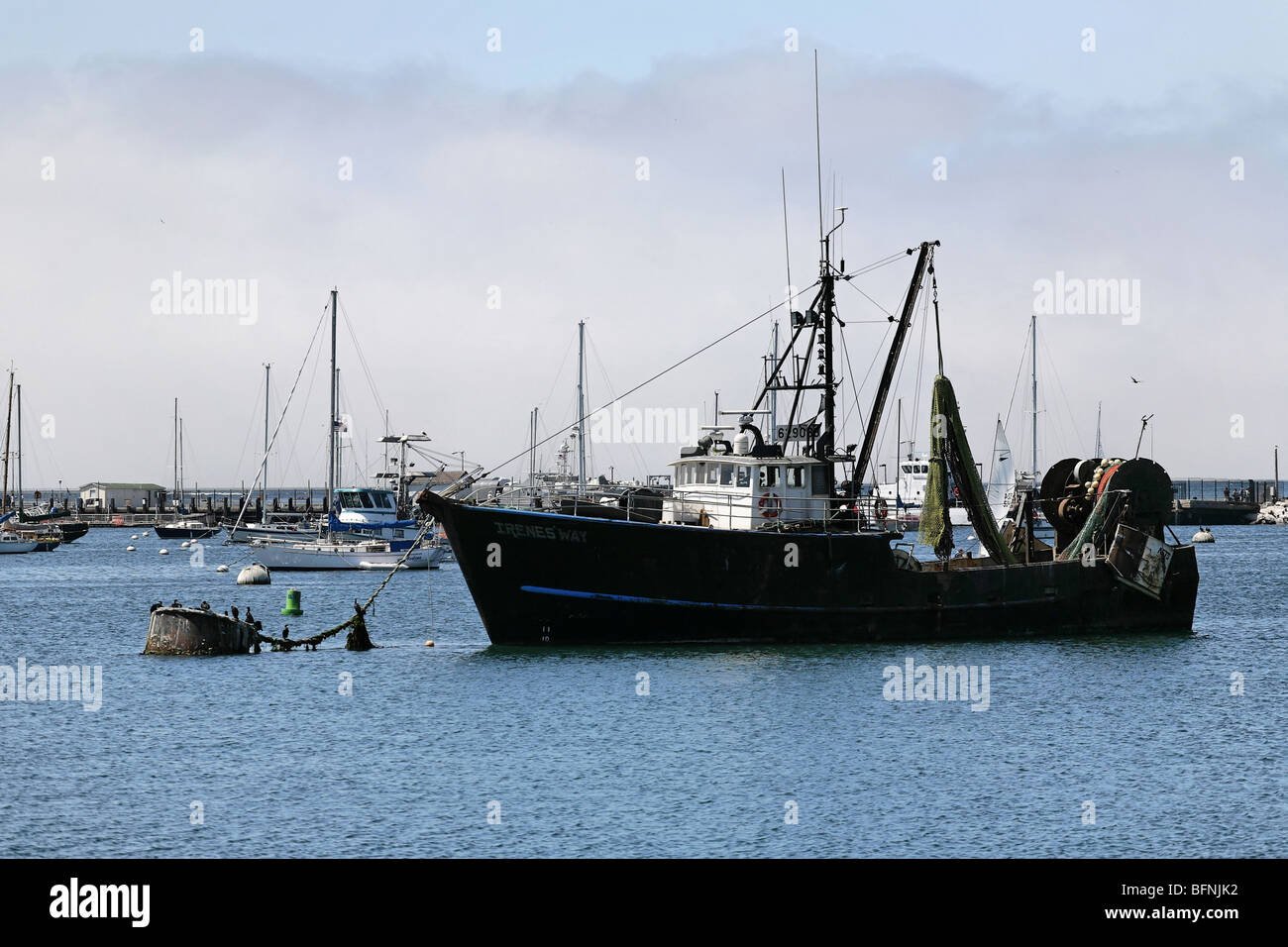 Angeln Schiff angedockt an der Marina in Monterrey, Kalifornien. Stockfoto